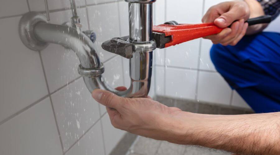 Professional Leak Detection services in Holy Cross, AK